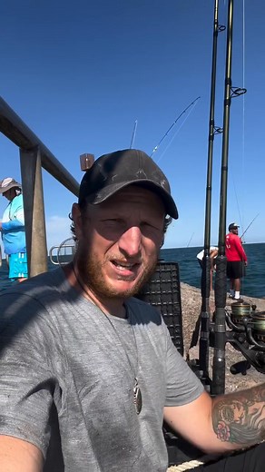 16K views · 50 reactions | I used a ladder to help me catch one of the fastest fish in our waters! #fishing #explore #ladderfishing #adventure #fishinglife #wildlife #jettyfishing #fyp #nature #jetty #livebait | Cleaningcars | Facebook