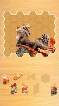 Jigsaw Puzzle Hexa – Free Hexagon Block Puzzle Brain Game Online