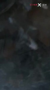 3 PELÍCULAS en NETFLIX para ver esta NOCHE! | Peliculas Completas