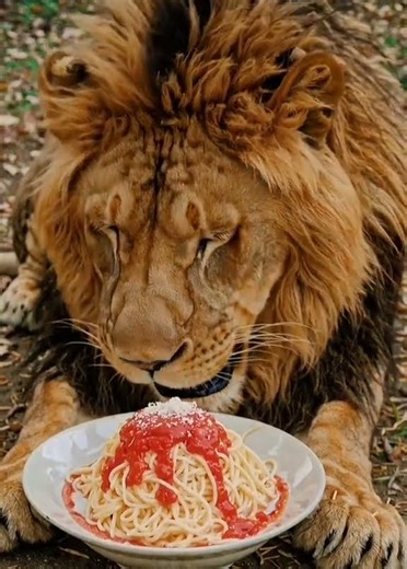 Lion Tries Spaghetti for the First Time 🍝🦁