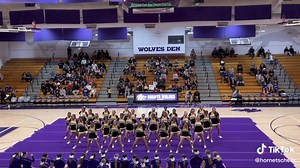 EHS CHEER TEAM 2022-2023 #fyp #hornets #ehs #cheer #stingersup