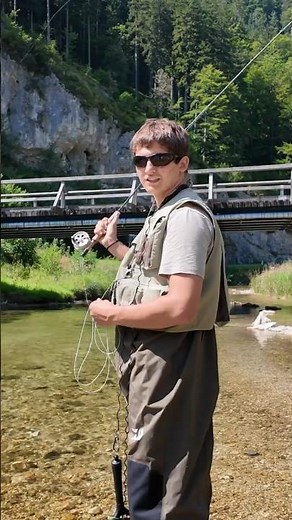 Fly Fishing 🐟 👍 Creek Fishing for Brown Trout #flyfishing #fishing