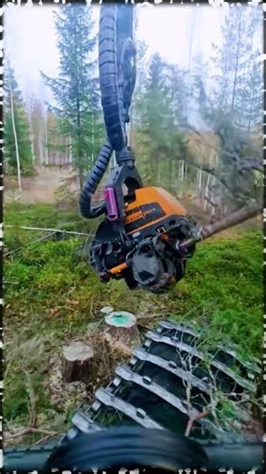 Part 008 Feller Buncher operator skills #woodworking