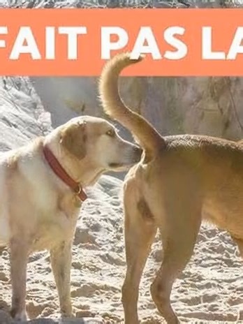 et oui C'est désormais officiel : la gauche s'unira pour contrer la liste de Julien BONY 2026. Mais ne vous méprenez pas : ce n'est en aucun cas une surprise. Cet accord était anticipé depuis longtemps. Ce n'est qu'une mascarade, un jeu de rôles, une mise en scène que seuls les initiés à la politique pouvaient anticiper. Ah, bien sûr, c’est tellement rafraîchissant de voir des sentiments aussi constants et fiables. Un jour, je t’aime, le lendemain, je ne t’aime plus. Quelle belle démonstration d