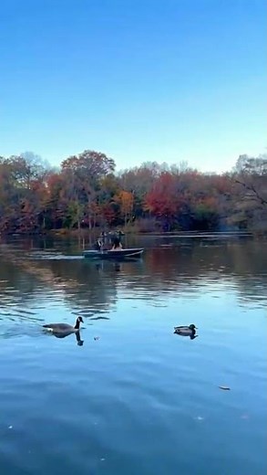 The Loeb Boathouse, Central Park, NYC. #CentralParkLake #NYCViews #NYCVibes #NYCScenes