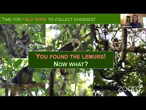 Lemur Science 101: The HOW (with Lydia Greene, Ph.D.)