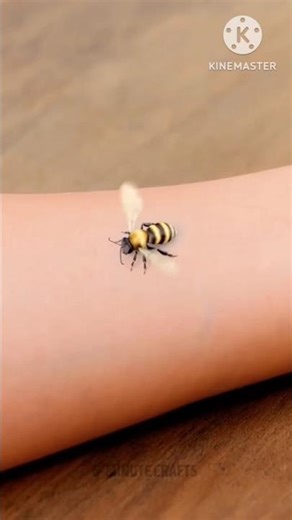 Easy regular life hacks 😜~ mini wood toy -woodworking art skillwood / hand crafts#viral#shorts