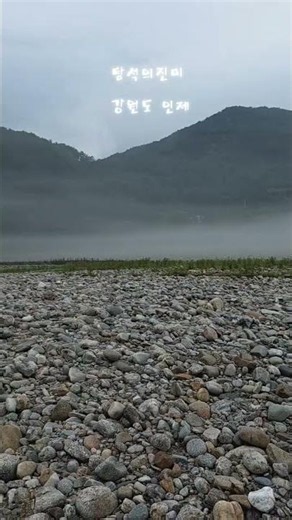 수석(청주미원수석경매)아침을 달려 강원도 인제로 탐석을 왔습니다 .몽환적인 분위기에 기분좋은 아침 입니다 .
