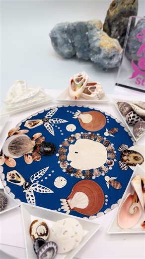 Shell Craft Kit! #shells #microshells #shellart #shellcrafts #crafts