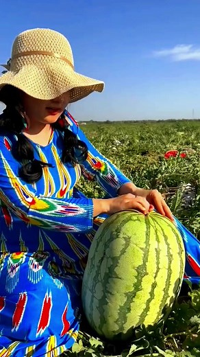 Exploring the Beauty of Nature Through Fruits