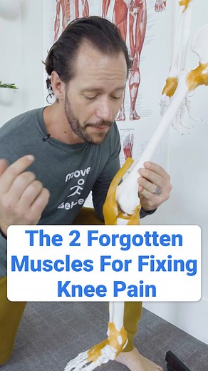 More videos you may like