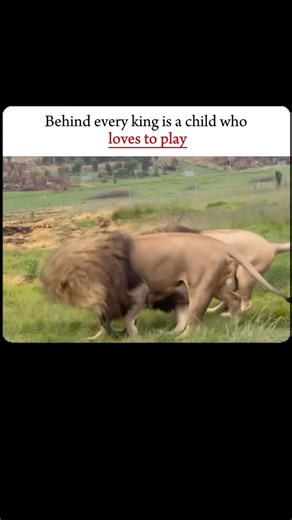 WildVerse on Instagram: "This viral hack, credited to enticestudio and posted December 15, 2025, demonstrates igniting a cotton swab's tip to create expanding, gripping char that extracts a broken key fragment from a cheap padlock via friction and minor thermal deformation. The method leverages basic physics—cotton combustion produces a sticky residue for better hold—but risks include fire hazards, lock damage, or failure on durable mechanisms, as noted in user replies calling it "100% bs." With