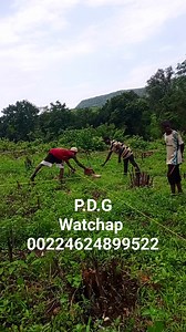 189K views · 2.2K reactions | Projet de construction d'une villa | Société de construction AOD. | Facebook