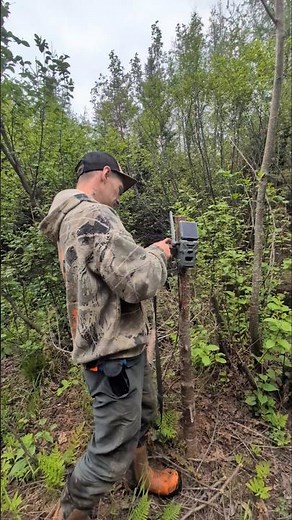 trail camera installation #canada #moosehunt #trailcamera #spypoint ‪@Spypoint‬