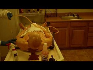 The making of Eva's Embalming Coloquim Movie "Full Service Disinfection Washing No. 1" FILE0028