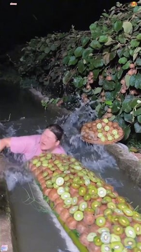 Fresh Kiwi Fruit Harvest & Processing at Night🥝🥝