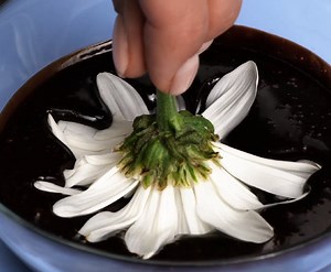 2.8K views | Quick and delicious recipes, cool and easy ways to eat more fruits and vegetables! | 5-Minute Workouts | Facebook