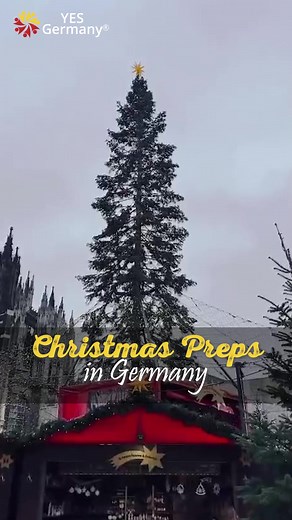 "Embracing the holiday spirit in Germany! 🎄✨ Christmas preps in full swing, from festive markets to twinkling lights. Feeling the magic in the air! 🇩🇪❤️ #christmasingermany #festivevibes #christmas #festive #christmastime #jinglebells | YES Germany