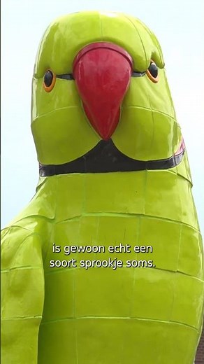 Metershoog standbeeld van halsbandparkiet kijkt uit over Noord