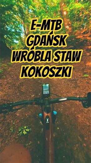 Levo SL2 Comp Carbon 2025: Insane E-MTB Trail Test! ⚡