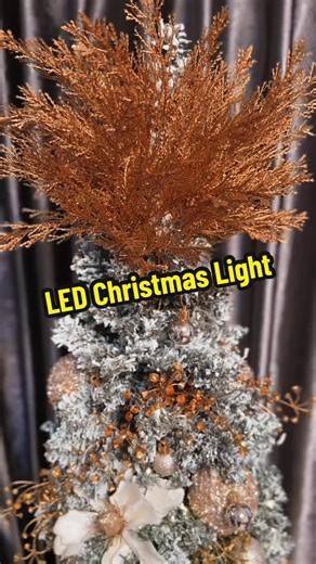 Transform Your Space with LED Christmas Lights