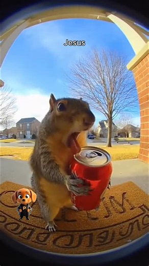 Peanut Hollywood on Instagram: "Never seen a squirrel burping that loud"