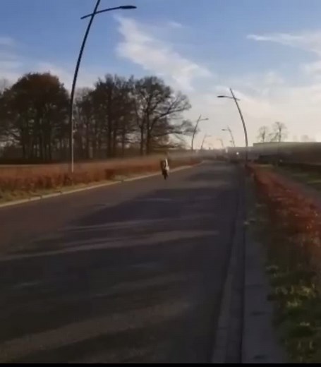 😂😂😂 #piaggio #piaggiopower #aerox #malossi #70ccm #polini #malossi #fyp #viral #fy #wheelie