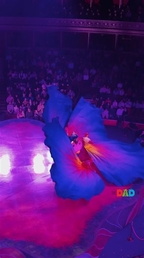 Sergei Urban | Science Experiments for Kids on Instagram: "Max won a Royal Albert Hall voucher at school for composing the top piece in his year group — voted best by his classmates, which made him (and me) extra proud. We used his prize to see OVO from @cirquedusoleil, and it was amazing — one of those shows where you look over at your kids and they're completely absorbed, just pure wow. It's set in a colourful world of insects, with so much movement, music, and acrobatics that it feels like yo