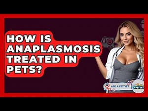 How Is Anaplasmosis Treated In Pets? - Ask A Pet Vet