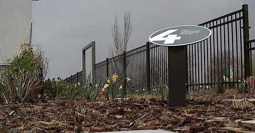 Xeriscape demand higher than ever in Utah amid drought