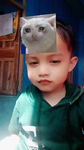 Creative Cat Illusion: Fun Photos with a Twist