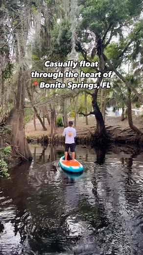 Adventures on our day off exploring hidden gems in #SWFL with @mustseefloridapaddle 🌿🛶😎 Casually float through another world under a canopy of oaks, pines, and palms 🌴 as it narrows into a twisty cypress-lined creek near its headwaters. The tea-colored water is clear and the bottom is sandy at spots, allowing visibility to see fish, turtles and, if you’re lucky, manatees! Where to launch your kayak or paddle board: - Depot Park - Riverside Park - Cullum’s Bonita Trail - Imperial River Boat R
