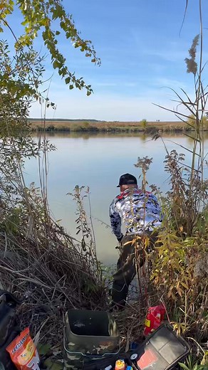 🔥 Feedermania High Power POP-UP és Mango N-Butyric Acid etetőanyag dolgozott keményen! 🔥 Karvas Gábor teszthorgászunk cserkelő pecája nagyon eredményes volt. Sokszor nem a mély víz vagy a tó közepe hozza a halat… hanem ott vannak előttünk, pár méterre a part szélén! 🎯🐟 Csend, precíz etetés, pontos csalizás — és már érkeztek is a kapások! 💥🎣 Gratulálunk Gabi, szép munka! 👏🔥🐟 | Feedermania & Venom