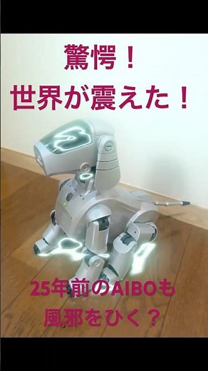 驚愕！世界が震えた（笑）25年前のAiboも風邪をひく！ #aibo #doglover #sony