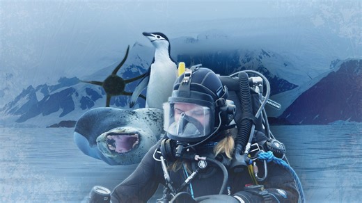 Finding Antarctica's weirdest animals