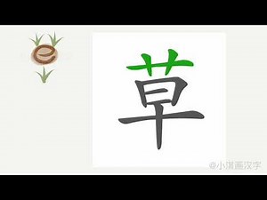 1分钟，一起画汉字：“草”