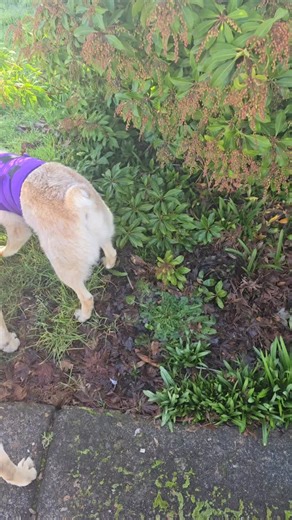 Functions of behavior are important to understand in Context! Understanding that ALL organisms engage in behaviors that maintain access to reinforcement in the form of resources/tangibles is critical to understanding how behavior work. From the most complex single celled organism to the simplest politicians and beyond access is very critical to understand! This is why I support the Political Integrity PAC & integrityindex dot us. Because what better way to understand the function of behavior tha