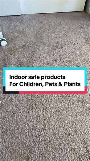Bugmd Pest Blaster to diminish ants, spiders, bed bugs, roaches, mosquitos, and gnats. Safe to use inside your home and outside. Definetly worth having. #bugmd#pestblaster#insectrodantspray#petfriendlychildtensafe