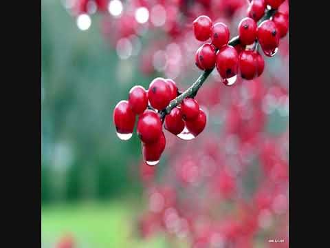 Draw Me Nearer Terry MacAlmon instrumental