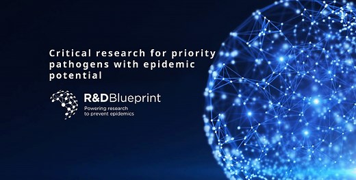 Critical research for priority pathogens with epidemic potential