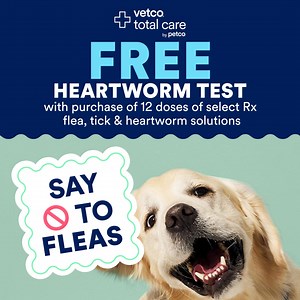 Warm spring weather = greater risk of heartworm. Protect your pup with a FREE heartworm screening and year-round prevention. | Petco