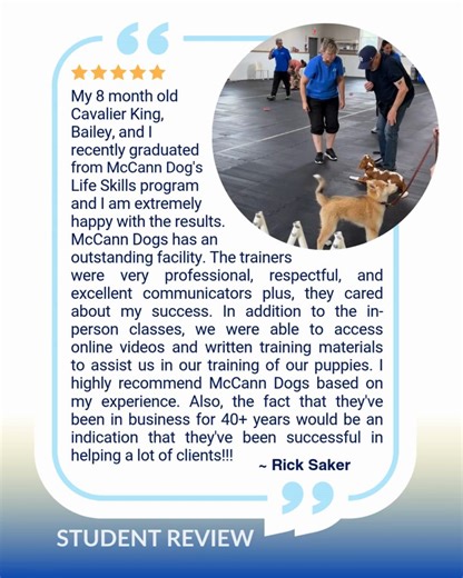🌟 Reading this glowing review is such a great reminder of why we do what we do! We love celebrating our students’ successes and seeing their hard work pay off. 🎉 Every achievement is a step towards greatness, and we couldn't be more proud of our amazing students! Keep shining bright! ✨ #McCannDogs #McCannTrained #StudentSuccess #celebratewins #hardworkpaysoff #keeptraining #dogtraining #dogobedience #bestdogtraining | McCann Professional Dog Trainers
