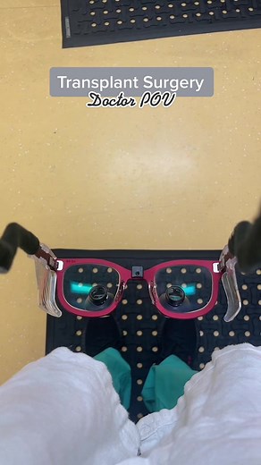 Insert kidney here —>