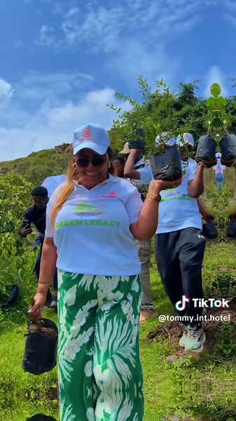 Tommy int hotel on TikTok