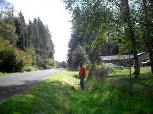 STIHL FS 90-R IN ACTION #3