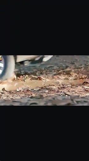 #fyp #fypシ #foryoupage #viral #creatorsearchinsights