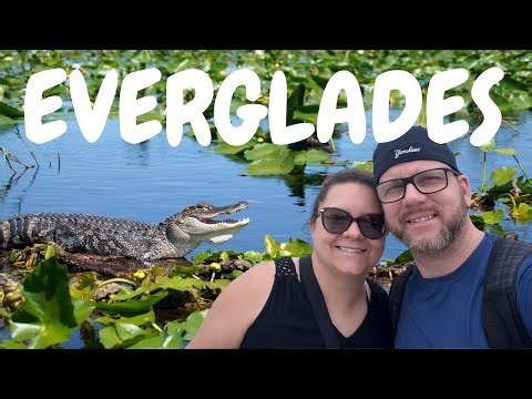 Everglades Tour - We Saw Real Alligators Up Close!