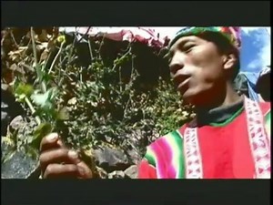 New Documentary Film Tracks Languages