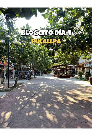 maria_gro_ on TikTok