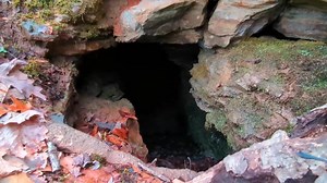 Exploring a unique Alabama spring! #Alabama #waterfall | TAG Caver